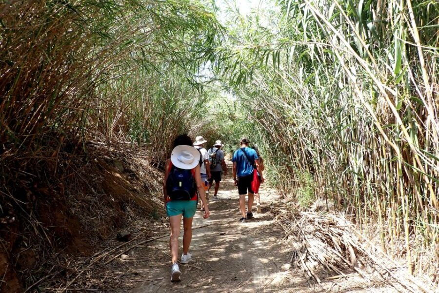 Mykonos off the Beaten Path Hiking Tour - Good To Know