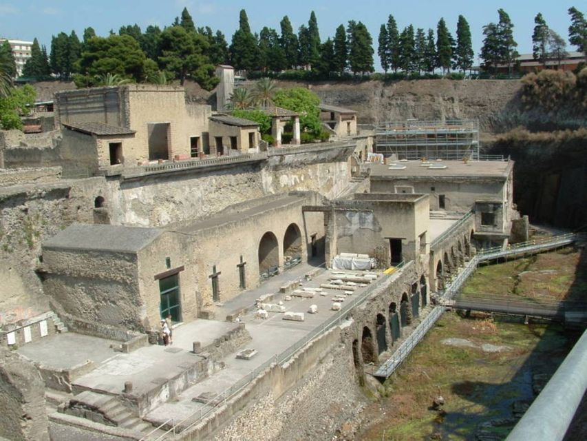 Naples: Pompeii, Vesuvius and Wine Tasting Tour - Experience Highlights