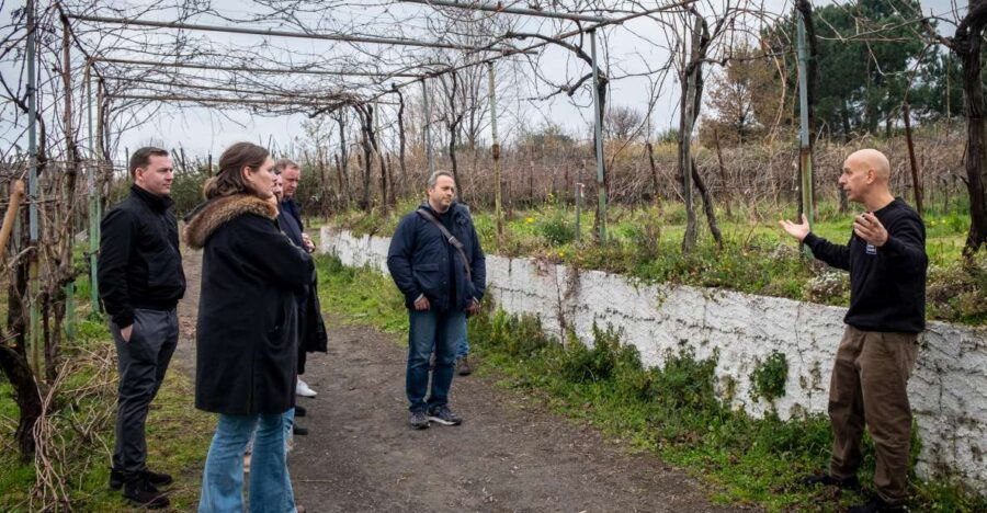 Naples: Walk-Through-Vineyards Private Tour - Tour Details