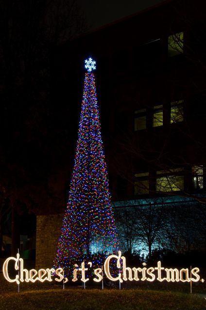 Nashville's Holiday Harmony: A Christmas Melody Tour - Good To Know