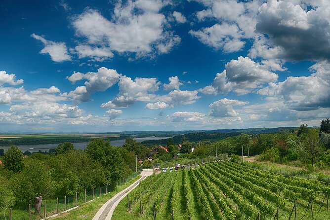 Natural Wine Tasting With Great Views - Good To Know
