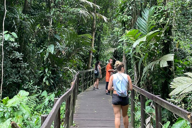 Nature & Forest Therapy Guided Walk in Puerto Viejo - Good To Know