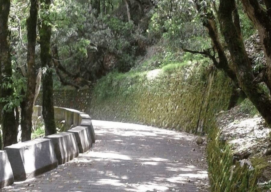 Nature Walk of Mussoorie (2 Hours Guided Walking Tour) - Good To Know