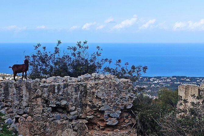 8 Best Tours In Cyprus