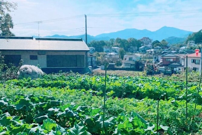 Near Tokyo: Organic Farming Experience With Forest Hiking