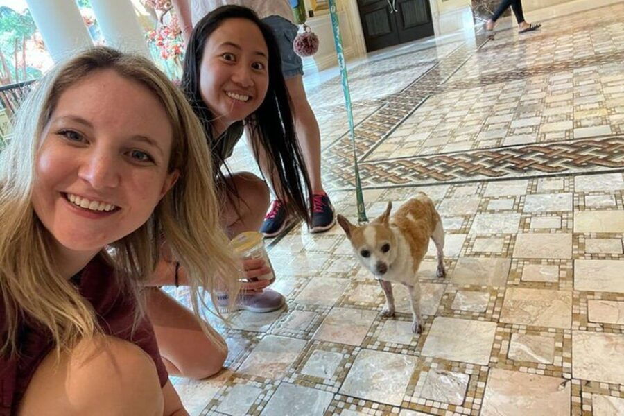 New London Scavenger Hunt - Cancellation Policy and Booking