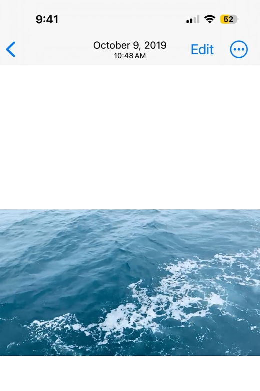 Newport Beach Private Tour & Whale Watching Cruise - Experience Highlights