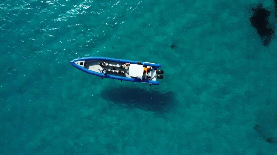Nice: Lerins Islands Boat Tour With Snorkeling - Good To Know