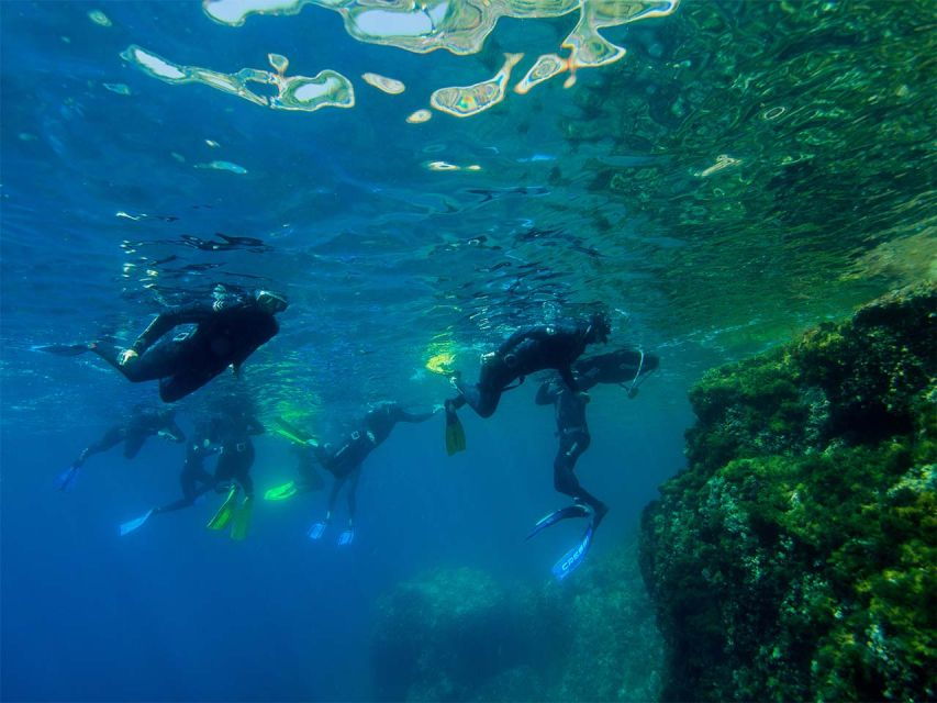 Nice: Speedboat Day Trip With Snorkeling in Villefranche Bay - Itinerary