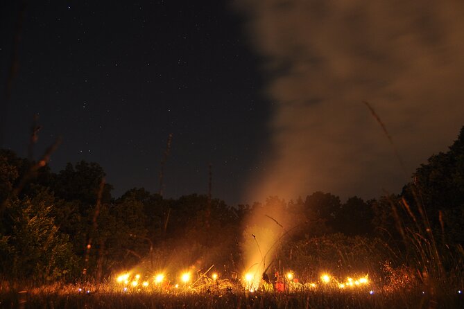 Night Tour in Hoia Baciu Forest