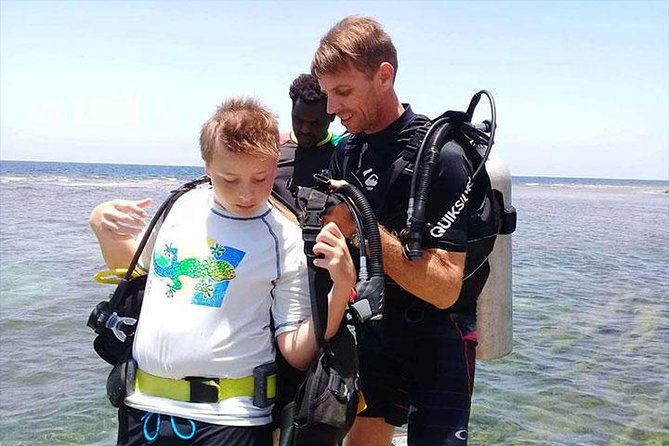 Non Certified Diving Experience Plus Transportation - Good To Know