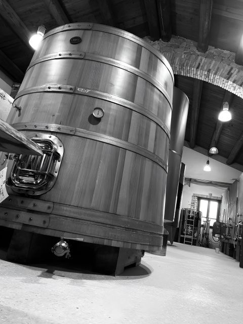Nora + Antigori Winery Tour With Included Tickets - Tour Highlights