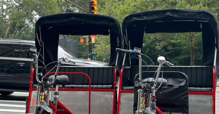 NYC Central Park Pedicab Tours - Tour Details