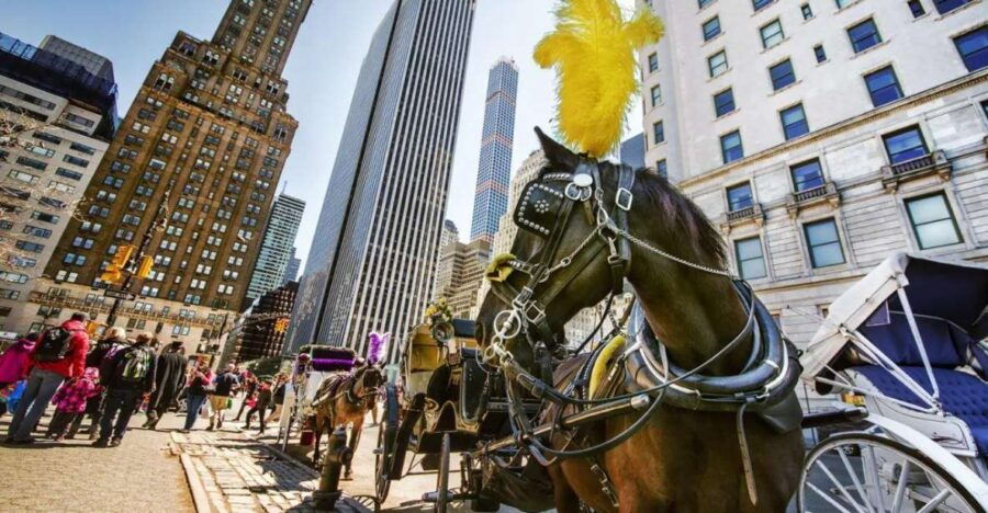 NYC:Guided Central Park Horse Carriage Ride - Language and Experience