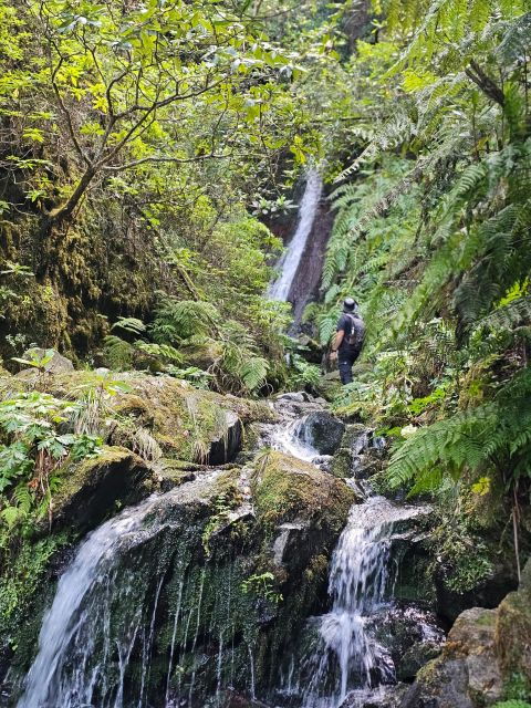 Off the Beaten Path,Levada Do Seixal, Madeira Island