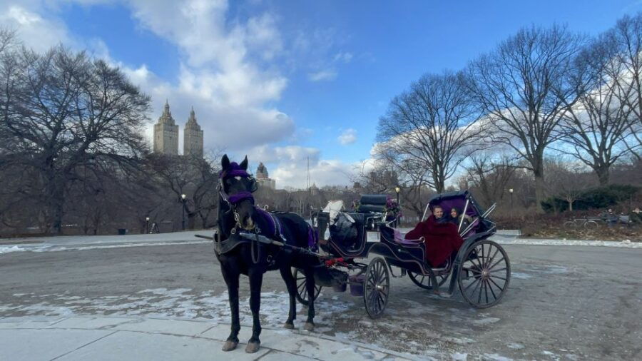 Official Exclusive VIP Horse Carriage Ride in Central Park - Good To Know
