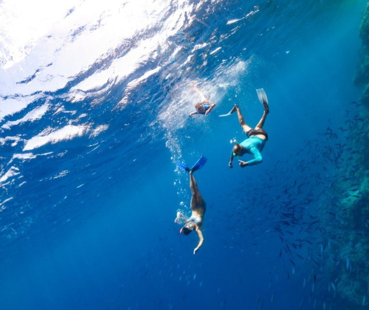 Ognina: Plemmirio Nature Reserve Snorkeling - Good To Know