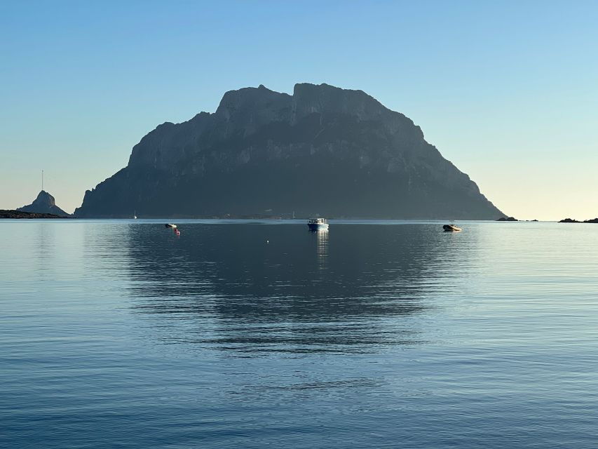 Olbia: Diving in Tavolara Marine Park in Sardinia