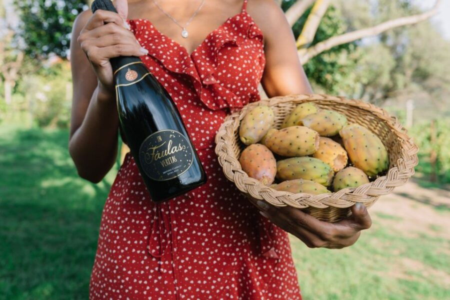 Olbia: Gallura Winery Guided Tour With Tasting - Inclusions