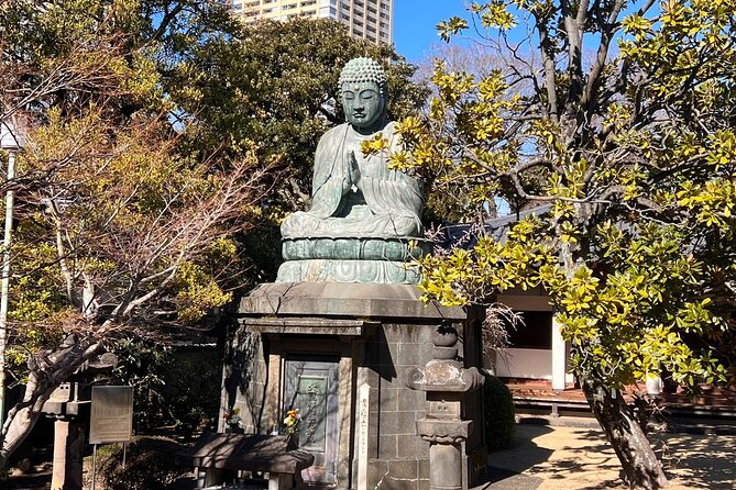 Old Tokyo History and Transition Small Group Walking Tour - Good To Know