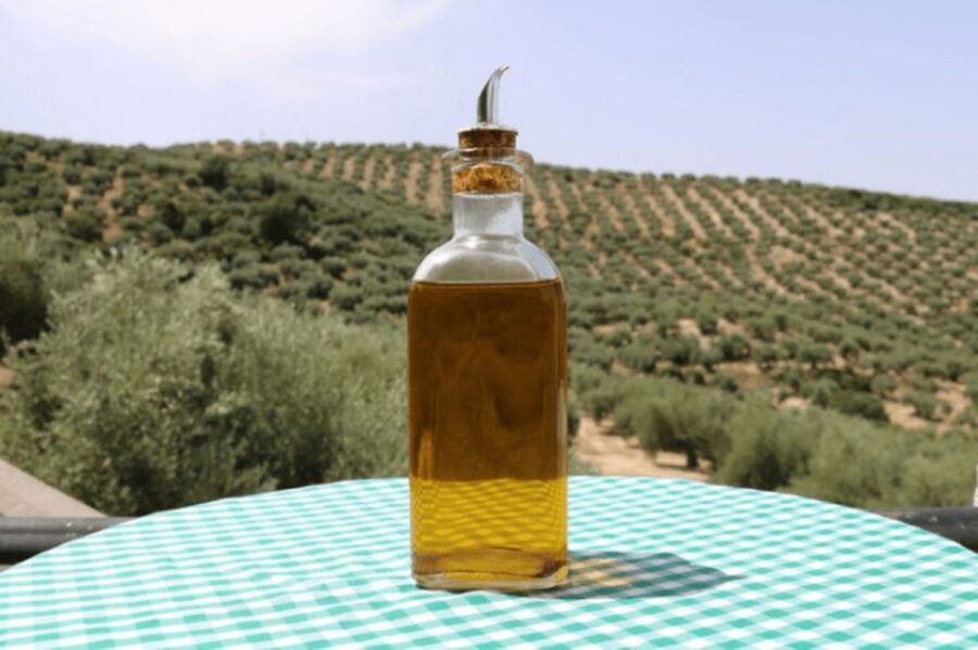 Olive Oil Factory From Sevilla Private Tour - Description