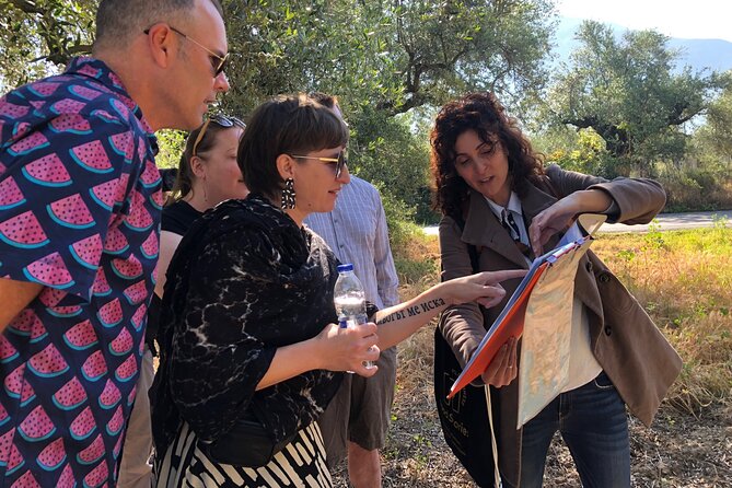 Olive Oil Tour & Tasting With Lunch in Kalamata, Messinia, Greece!