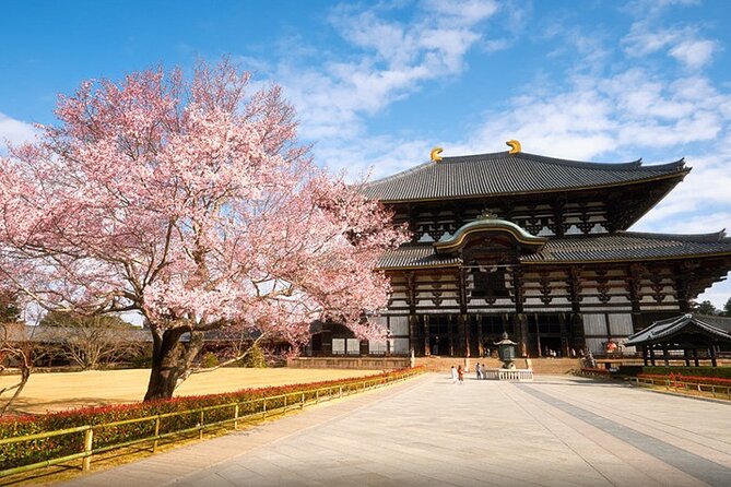 One Day Customized Self-Guided Tour in Nara