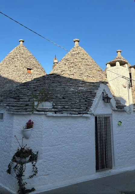 One Day Trip to Ostuni and Alberobello - Booking Information