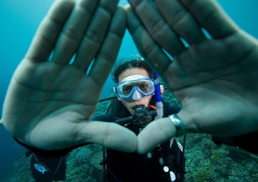 One Scuba Diving Day Trip to Costa Brava