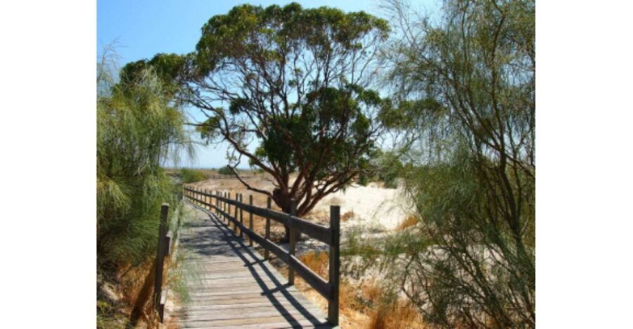 One-Way Private Transfer From Comporta to Lisbon Airport - Transfer Details