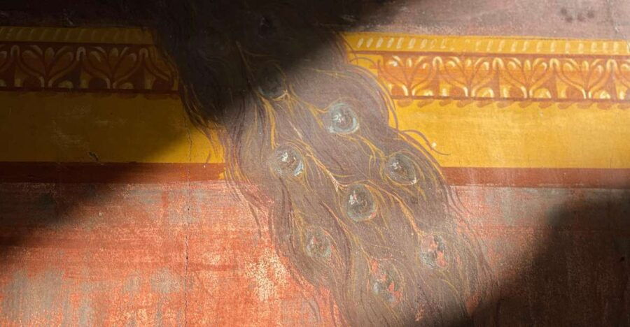 Oplontis Villa: Private Guided Tour With Your Archaeologist
