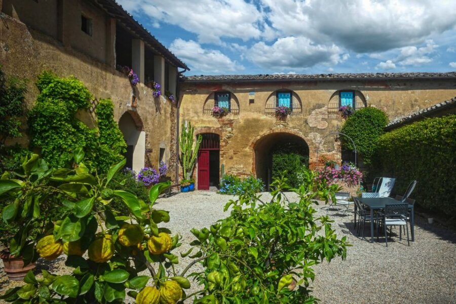 Organic Winery Tour and Wine Tasting in Siena