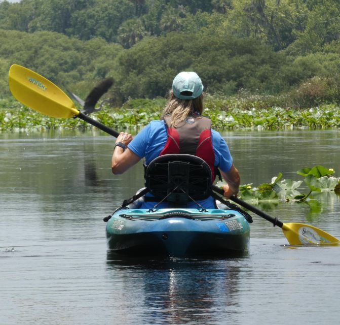 Orlando: Small Group Scenic Wekiva River Kayak Tour - Tour Details