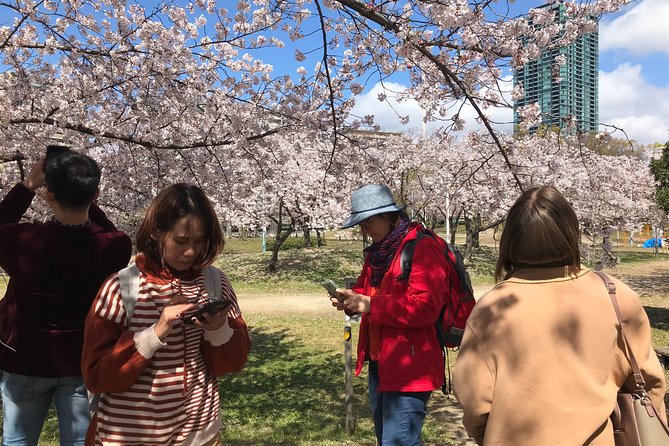 Osaka Cherry Blossom Walk With Local - Good To Know