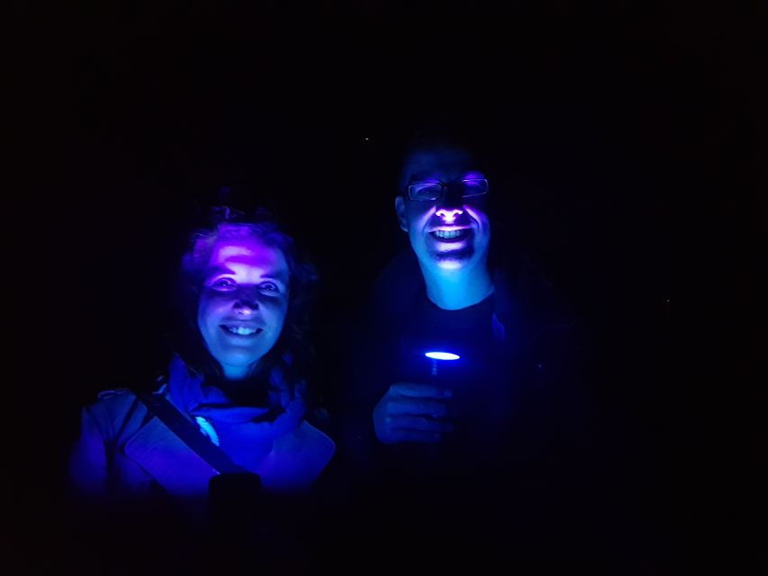 Oudtshoorn: Klein Karoo Nighttime Walking Tour in Nature