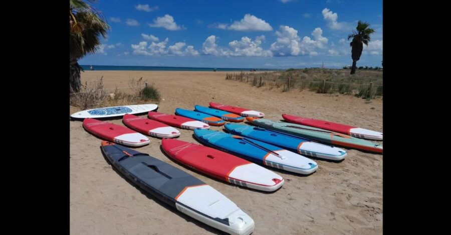 Paddle Surf Delivery Boards