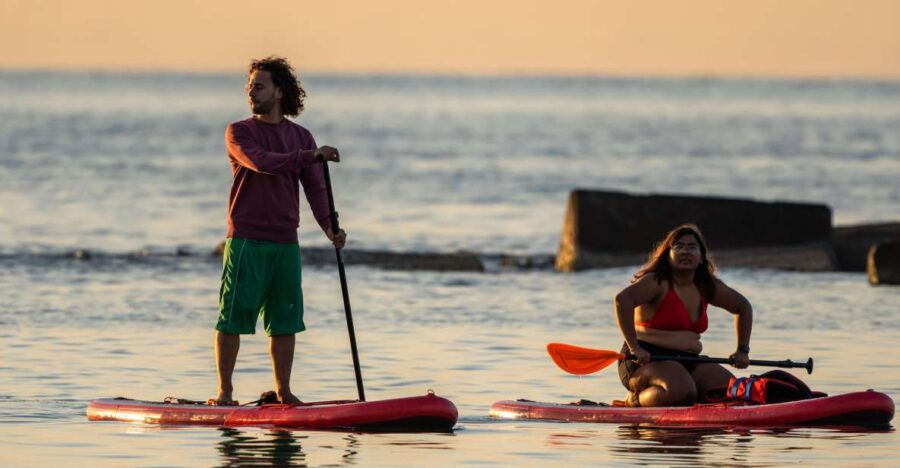 Paddlesurf Rental - Activity Highlights
