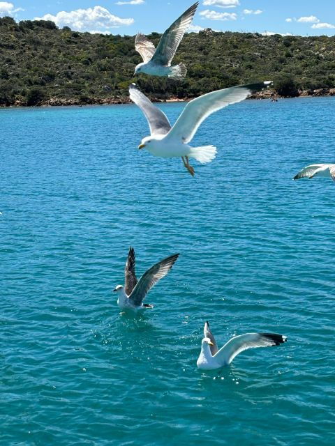 Palau/Archipelago of La Maddalena, Tour, Excursion on Sailboat - Itinerary