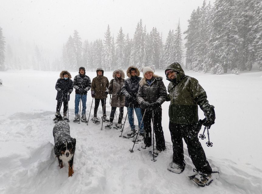 Palisades Point Half-Day Snowshoeing Hike - Duration and Schedule