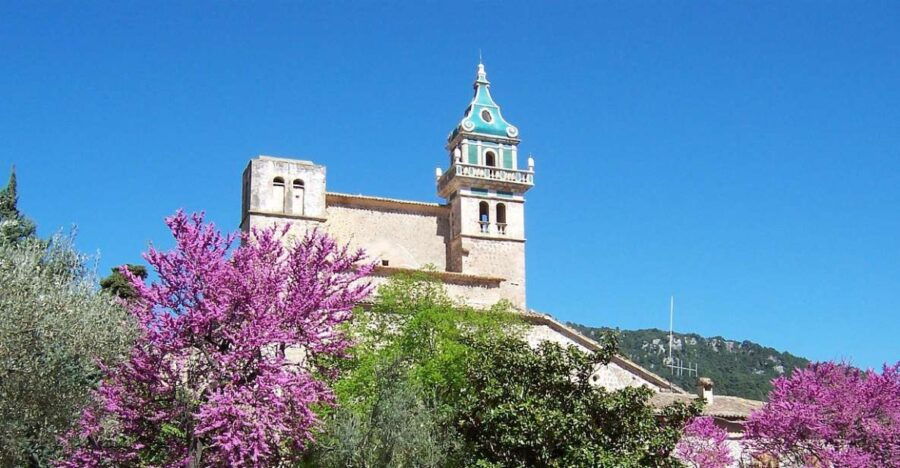 Palma De Mallorca: Palma and Valldemossa Free Time