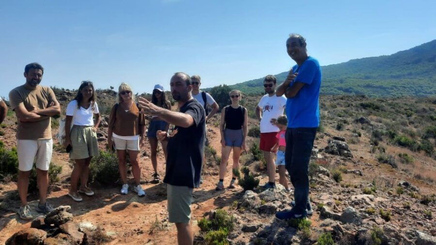 Pantelleria and Its Wines Tastings - Experience Details