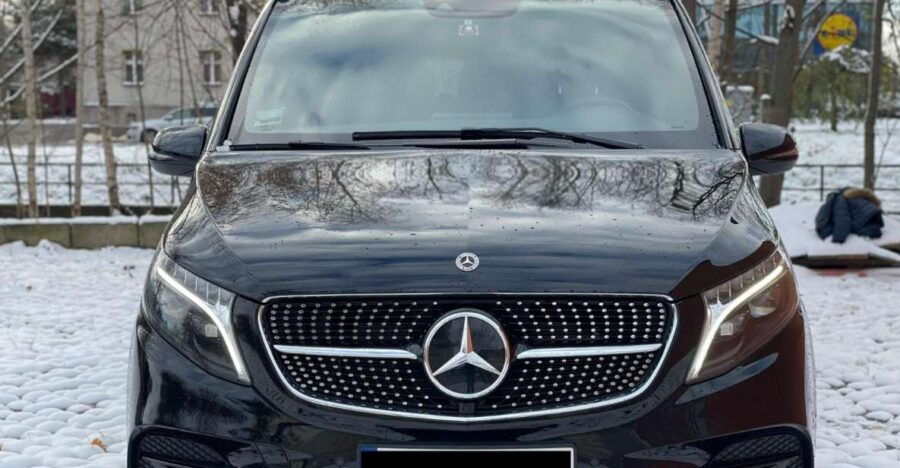 Paris: Private Chauffeur Transfer Service - Good To Know