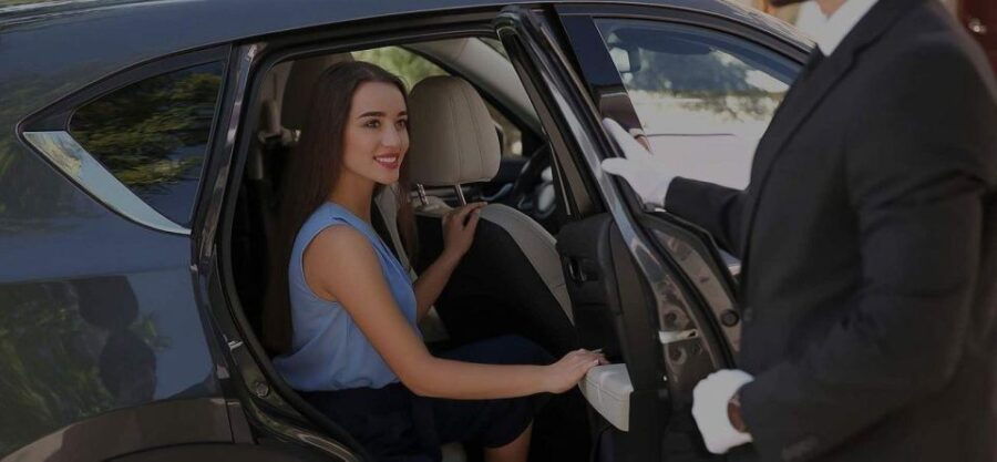 Paris: Private Transfer to or From Disneyland - Driver and Vehicle