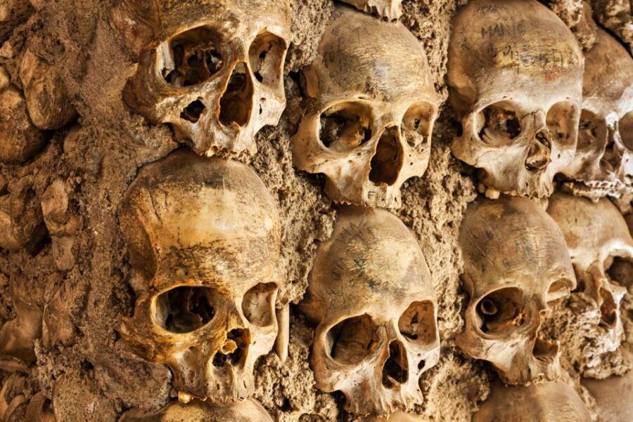 Paris: Skip-the-Line Catacombs Tour and Seine River Cruise - Inclusions