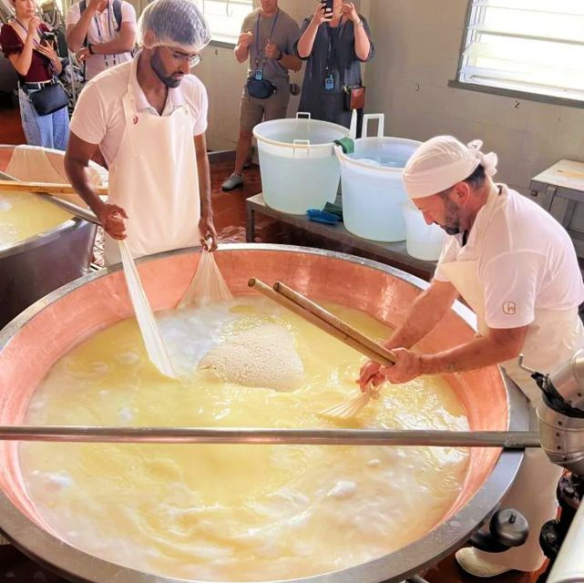 Parma: Cheese, Ham, & Wineyard Tour With Tastings - Experience Description