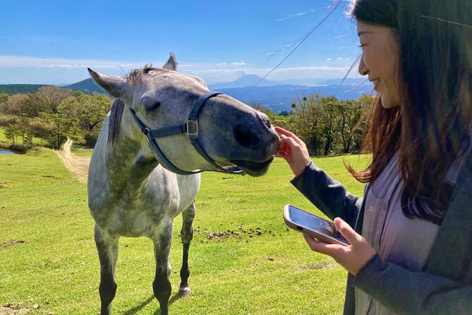 Pasture Hike With Horse Whisperer at Horse Trust in Kagoshima - Good To Know