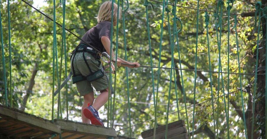 Pau - Tree Climbing - Lacq Adventure - Good To Know