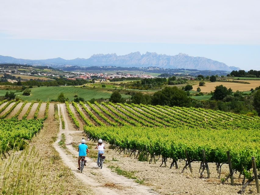 2 Best Wine Tours In El Penedes