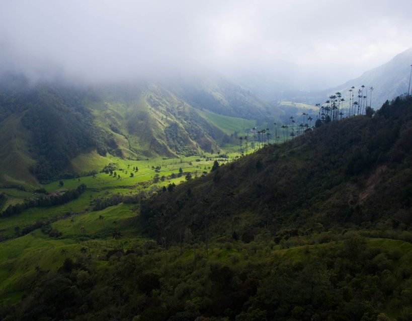 Pereira: Cocora Valley and Salento Guided Hiking Tour - Good To Know