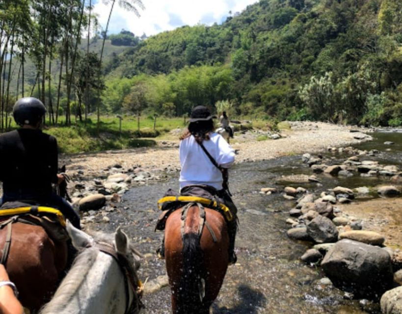 Pereira: Cocora Valley and Salento Tour With Horseback Ride